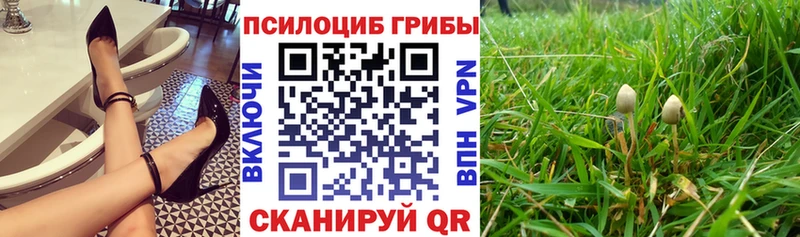 Псилоцибиновые грибы MAGIC MUSHROOMS  наркотики  Свирск 